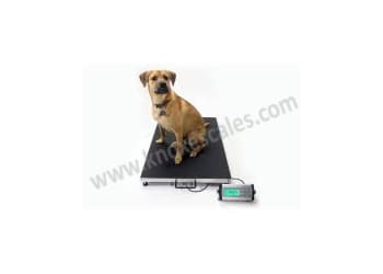 Animal weighing machine