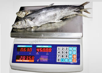 FULLY WATER PROOF PRICE COMPUTING SCALES