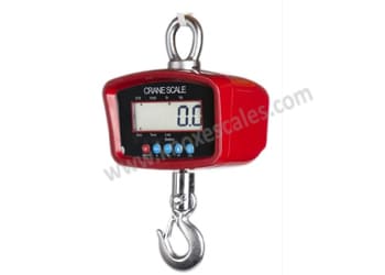 Hanging Scale