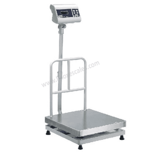 Gym Scale